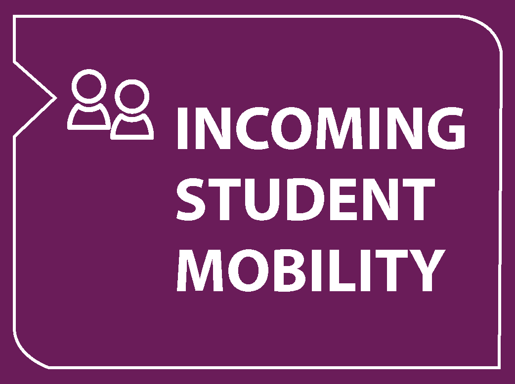 incoming_student_mobility-01-01-01