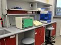 Inkubator Heraeus,
spektrofotometr UV-Vis BioRad SmartSpec,
inkubator z wytrząsaniem