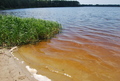 Jezioro Glinki.Fot. A. Artemiuk