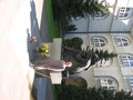 Zdjęcie przy pomniku Jana Pawła II na dziedzińcu KUL.