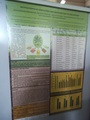 Trzeci poster - gdzie pokazaliśmy grupę metylotrofów w glebach Lubelszczyzny