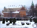 Widok na Wawel fot. A. Kołodziej