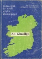 an_ghaeilge_1st_120