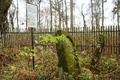 Szczebrzeszyn - macewy na cmentarzu żydowskim