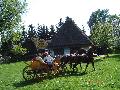 Przejażdżka gości bryczką w Muzeum Wsi Lubelskiej