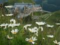  Staż letni w La Salette (Francja)