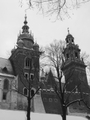 Widok na Wawel fot. A. Kołodziej