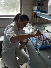 Ekstrakcja kwasów humusowych