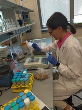 Przygotowanie materiału do oznaczenia zawartości kwasów humusowych