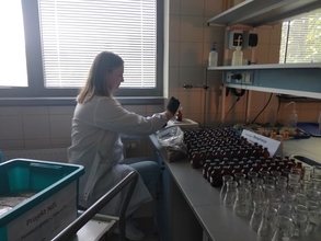 Przygotowanie naważek  do wyznaczenia aktywności respiracyjnej gleb