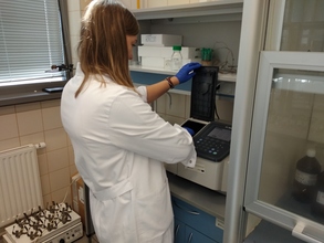 Aktywność dehydrogenazowa - pomiar