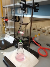 Oznaczenie pojemności kationowymiennej badanych gleb (CEC)