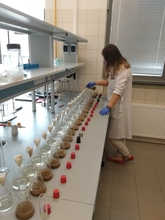 Przygotowanie prób na wyznaczenie CEC