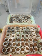 Próby przygotowane do pomiaru pełnej pojemności wodnej gleb (PPW)