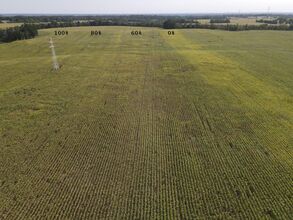 Gradient nawożenia w systemie orkowym